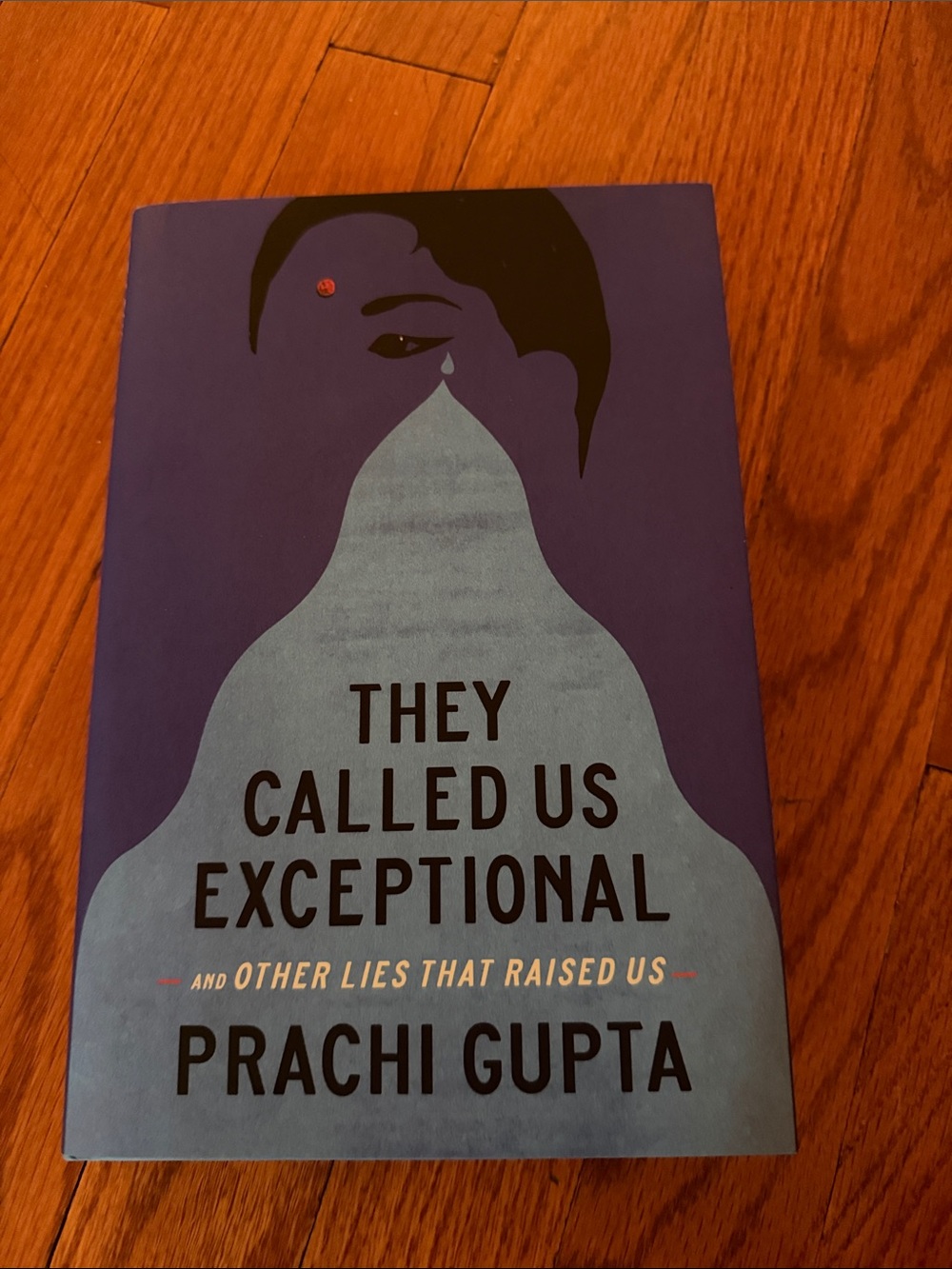 They Called Us Exceptional by Prachi Gupta - Purple & Light Blue Cover
